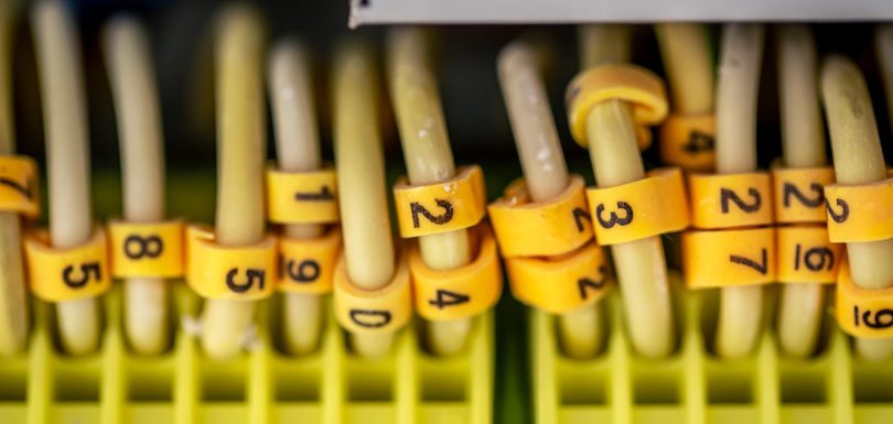 IDF MDF cabling NYC,network closet NYC; MDF room; IDF room; structured cabling NYC